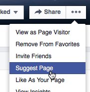 Facebook - suggest page