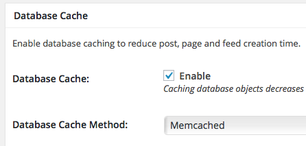 Enable the database cache option for more time savings